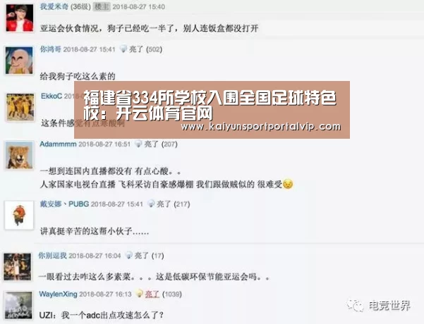 开云官方网站