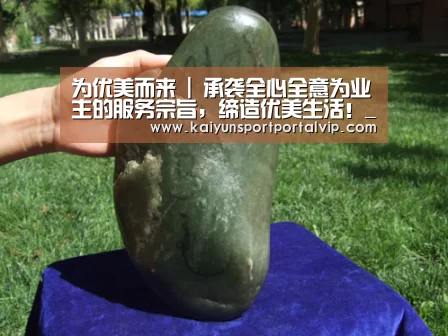 开云体育官网