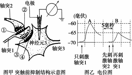 开云体育官网|渑池县48名学生参加研学之